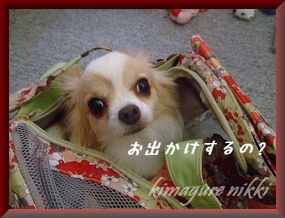 お出かけするの♪.gif