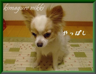 やっぱりね~.gif