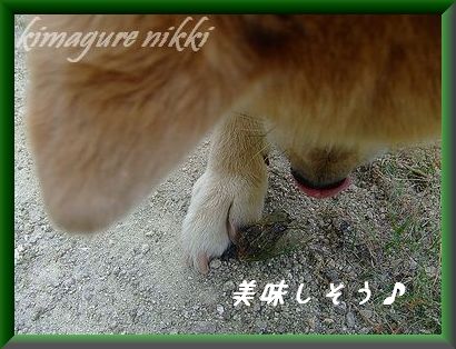 食っちゃうぞ~`.jpg
