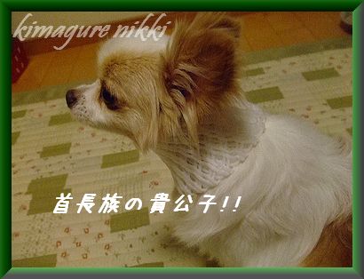 長~い首!!.jpg