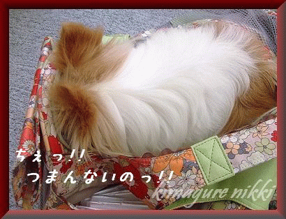 不貞寝.gif